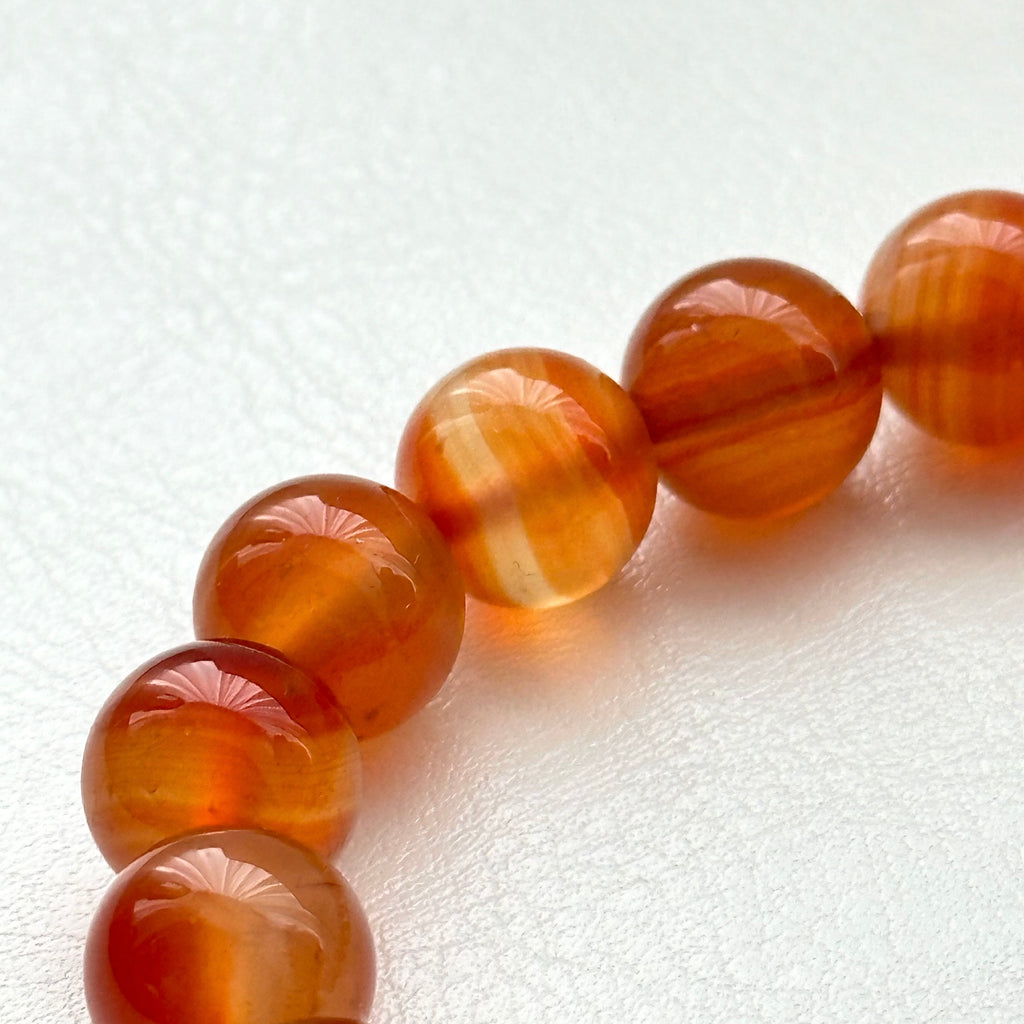 BS206 [Cancer Leo | July] Red agate conch bracelet