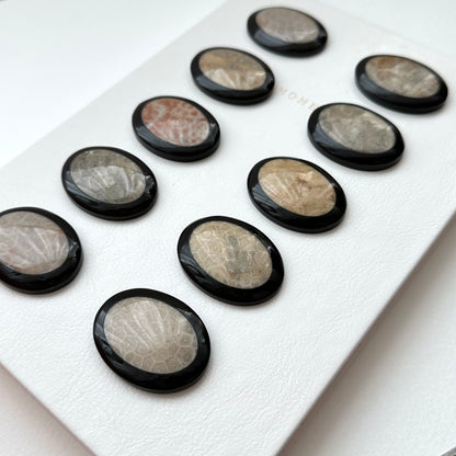 TS24 [Coral Fossil Transformation Stone] Petoskey Stone Oval Block Office or Home Healing Device