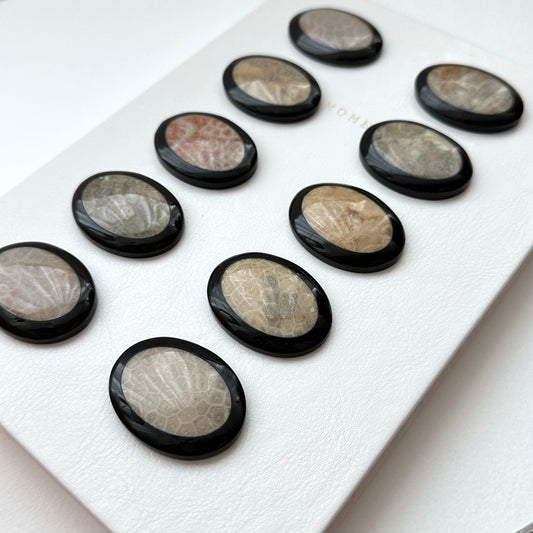 TS24 [Coral Fossil Transformation Stone] Petoskey Stone Oval Block Office or Home Healing Device