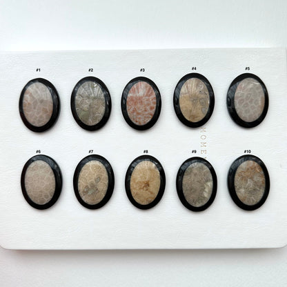 TS24 [Coral Fossil Transformation Stone] Petoskey Stone Oval Block Office or Home Healing Device