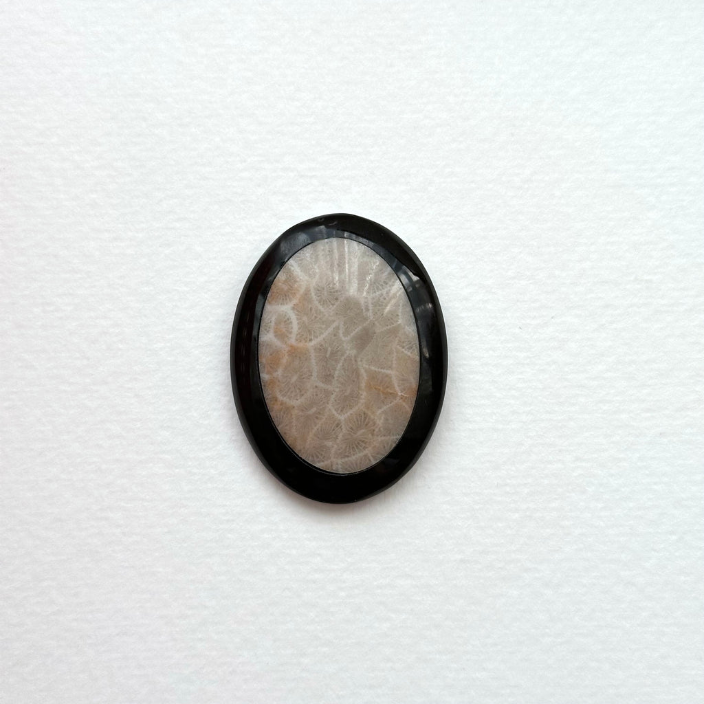 TS24【珊瑚化石 轉化之石】佩托斯基石橢圓塊 辦公室或家中療癒裝置