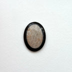 TS24【珊瑚化石 轉化之石】佩托斯基石橢圓塊 辦公室或家中療癒裝置