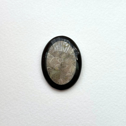 TS24 [Coral Fossil Transformation Stone] Petoskey Stone Oval Block Office or Home Healing Device