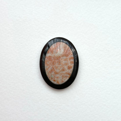 TS24 [Coral Fossil Transformation Stone] Petoskey Stone Oval Block Office or Home Healing Device