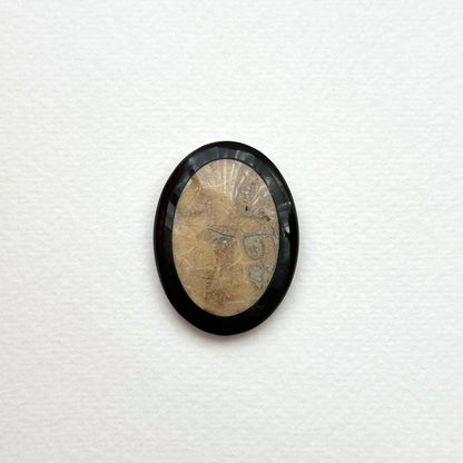 TS24 [Coral Fossil Transformation Stone] Petoskey Stone Oval Block Office or Home Healing Device