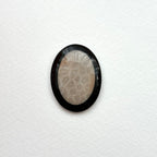 TS24【珊瑚化石 轉化之石】佩托斯基石橢圓塊 辦公室或家中療癒裝置