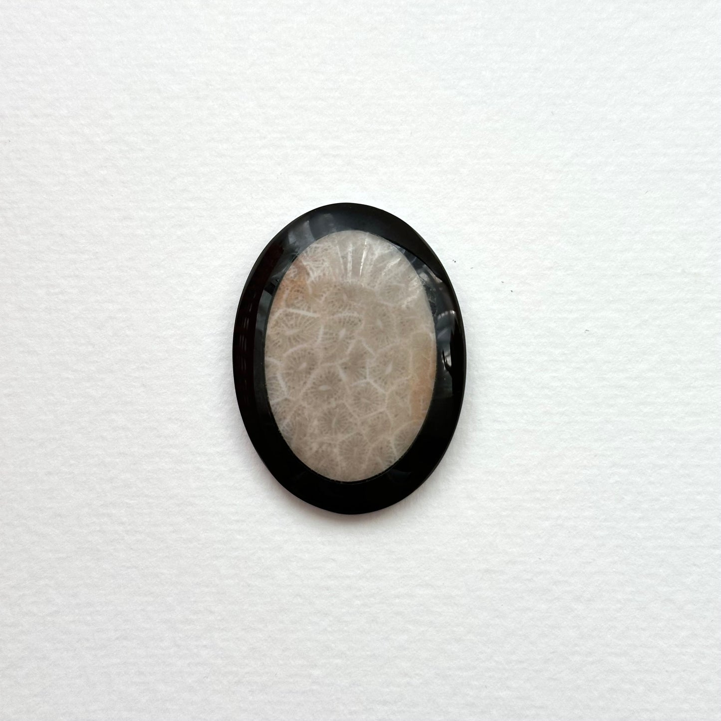 TS24 [Coral Fossil Transformation Stone] Petoskey Stone Oval Block Office or Home Healing Device