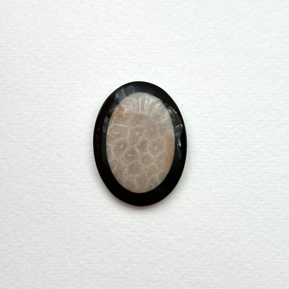 TS24 [Coral Fossil Transformation Stone] Petoskey Stone Oval Block Office or Home Healing Device