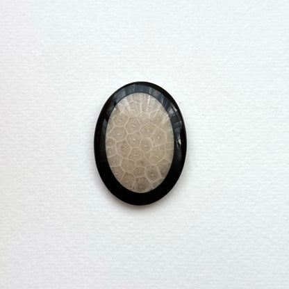 TS24 [Coral Fossil Transformation Stone] Petoskey Stone Oval Block Office or Home Healing Device