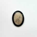 TS24【珊瑚化石 轉化之石】佩托斯基石橢圓塊 辦公室或家中療癒裝置