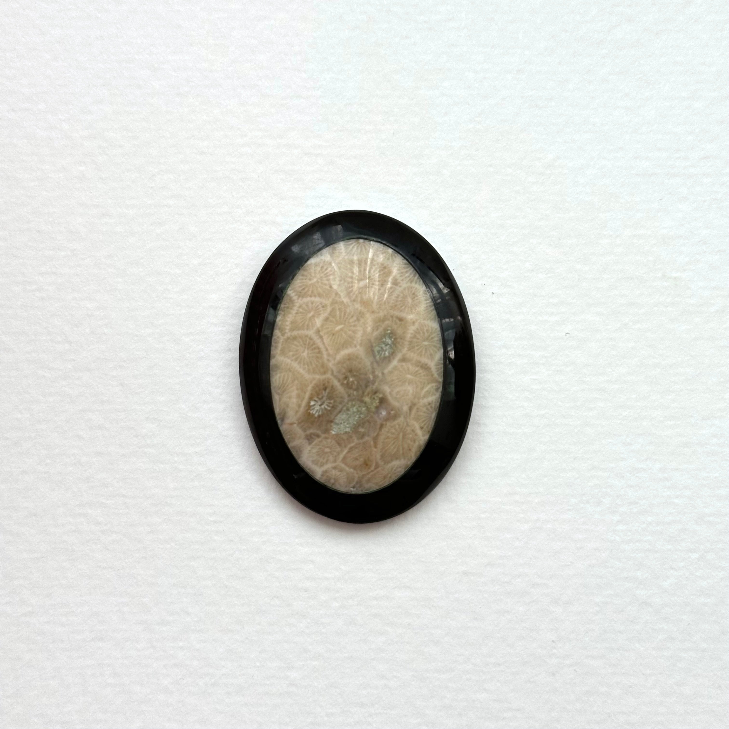 TS24【珊瑚化石 轉化之石】佩托斯基石橢圓塊 辦公室或家中療癒裝置