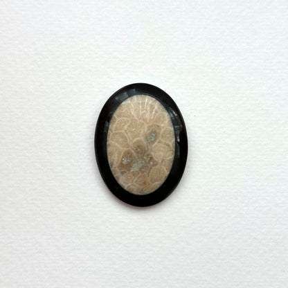 TS24 [Coral Fossil Transformation Stone] Petoskey Stone Oval Block Office or Home Healing Device