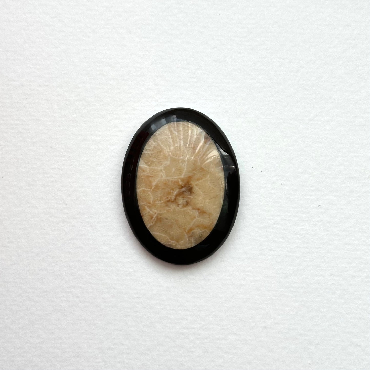 TS24 [Coral Fossil Transformation Stone] Petoskey Stone Oval Block Office or Home Healing Device