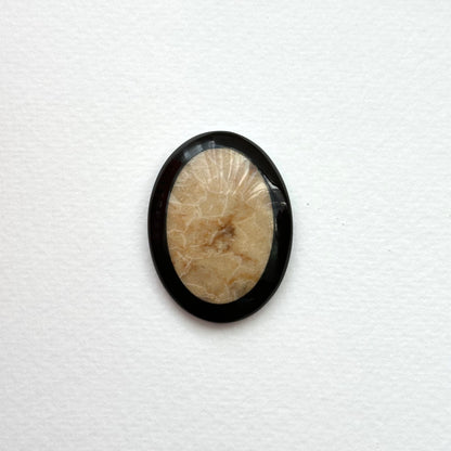 TS24 [Coral Fossil Transformation Stone] Petoskey Stone Oval Block Office or Home Healing Device