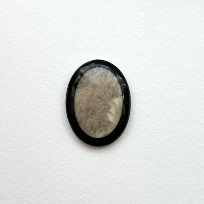 TS24 [Coral Fossil Transformation Stone] Petoskey Stone Oval Block Office or Home Healing Device