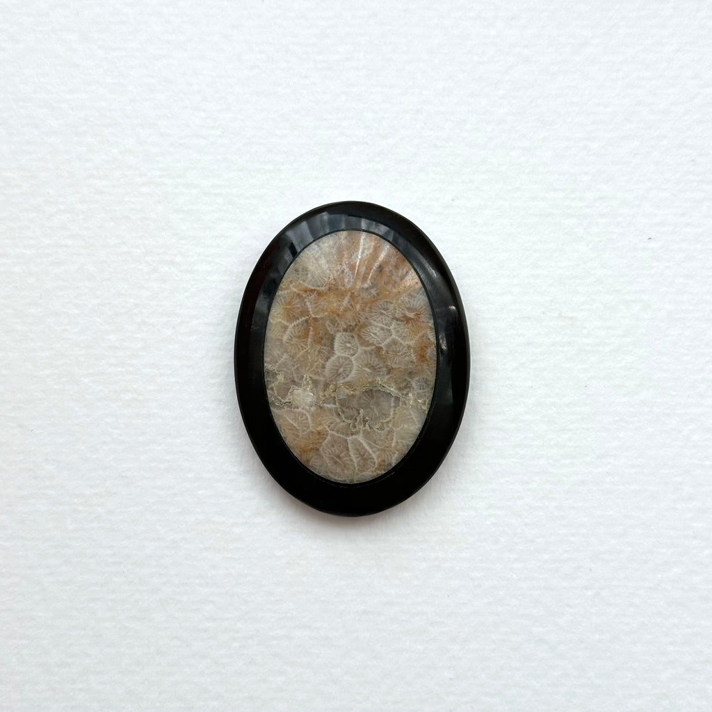 TS24【珊瑚化石 轉化之石】佩托斯基石橢圓塊 辦公室或家中療癒裝置