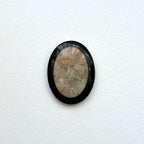 TS24【珊瑚化石 轉化之石】佩托斯基石橢圓塊 辦公室或家中療癒裝置