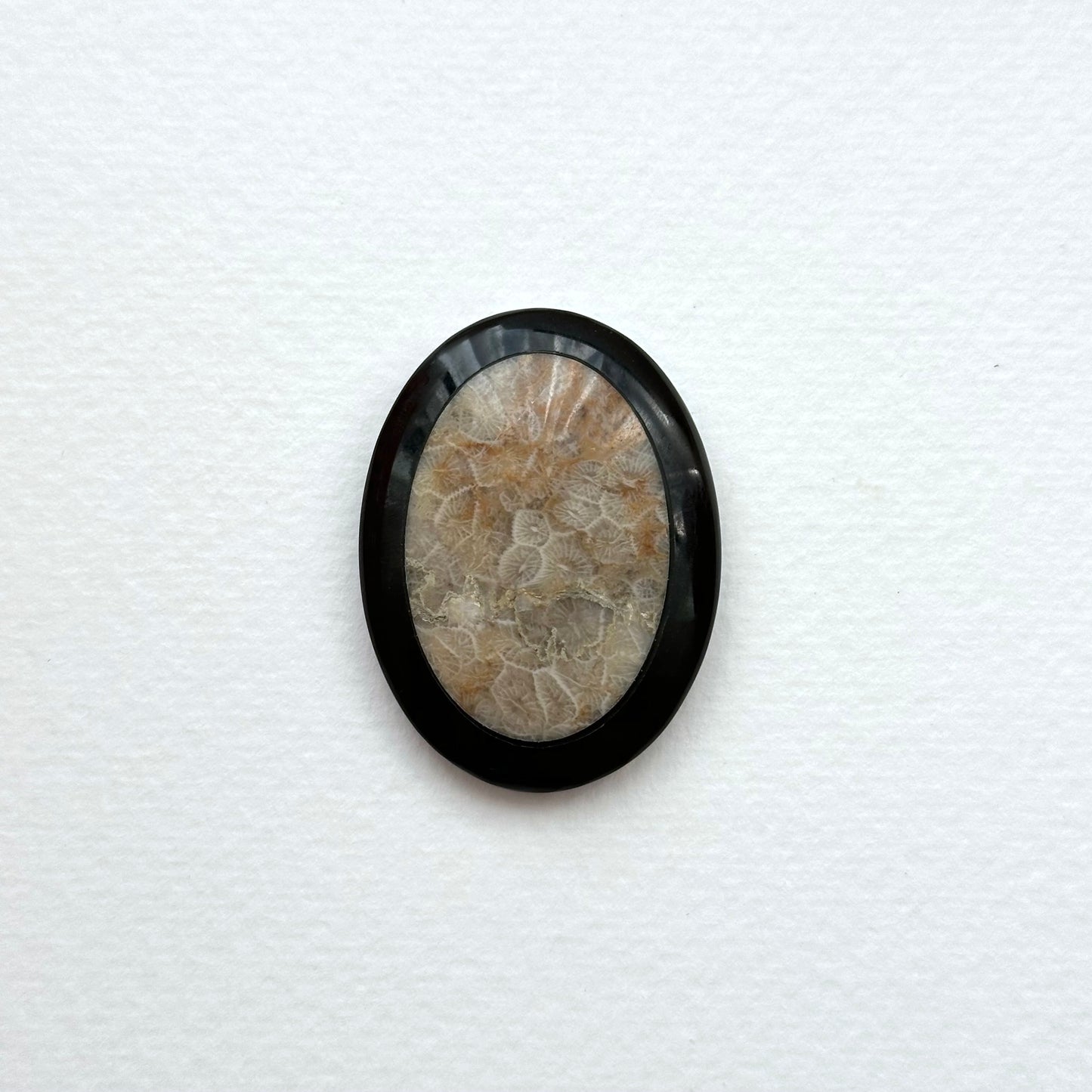 TS24 [Coral Fossil Transformation Stone] Petoskey Stone Oval Block Office or Home Healing Device