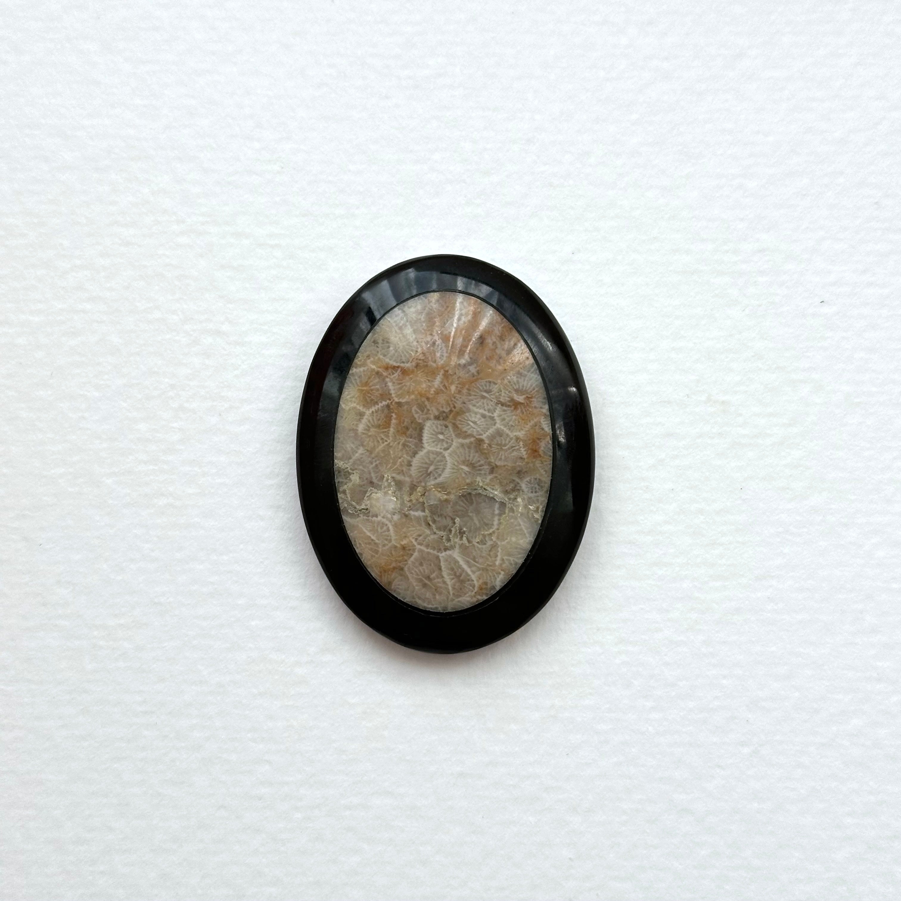 TS24【珊瑚化石 轉化之石】佩托斯基石橢圓塊 辦公室或家中療癒裝置