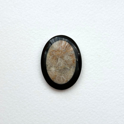 TS24 [Coral Fossil Transformation Stone] Petoskey Stone Oval Block Office or Home Healing Device